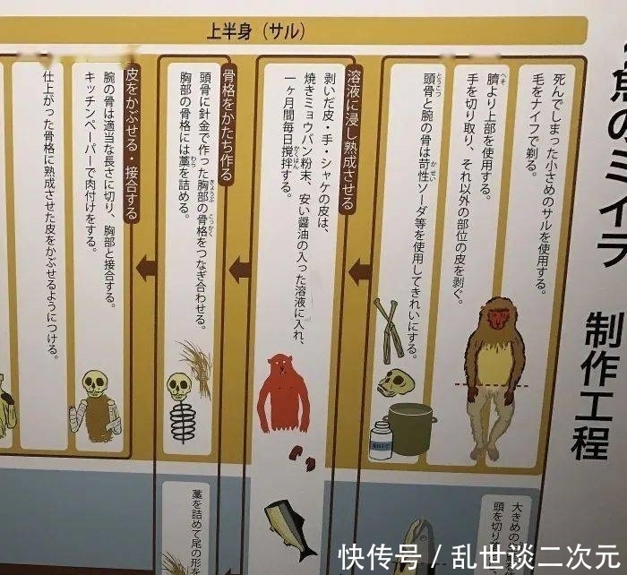  美人鱼|日本恐怖美人鱼