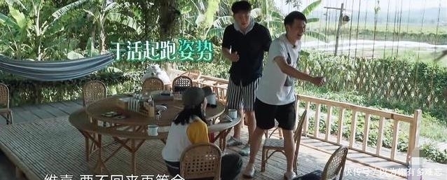 彭昱畅|《向往4》因一盘菜遭板脸?彭昱畅对黄磊称呼突变,关系一目了然