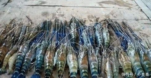 泛滥成灾|小龙虾跌落神坛,被“淡水虾王”取代,吃货尝过后:再见,小龙虾!