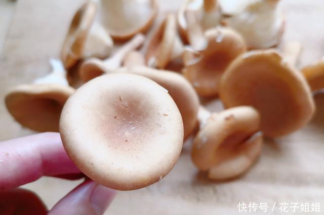  乌脚鸡|中伏，天热湿气重，这两搭配好下饭，鲜香不腥味道赞，做法也不难