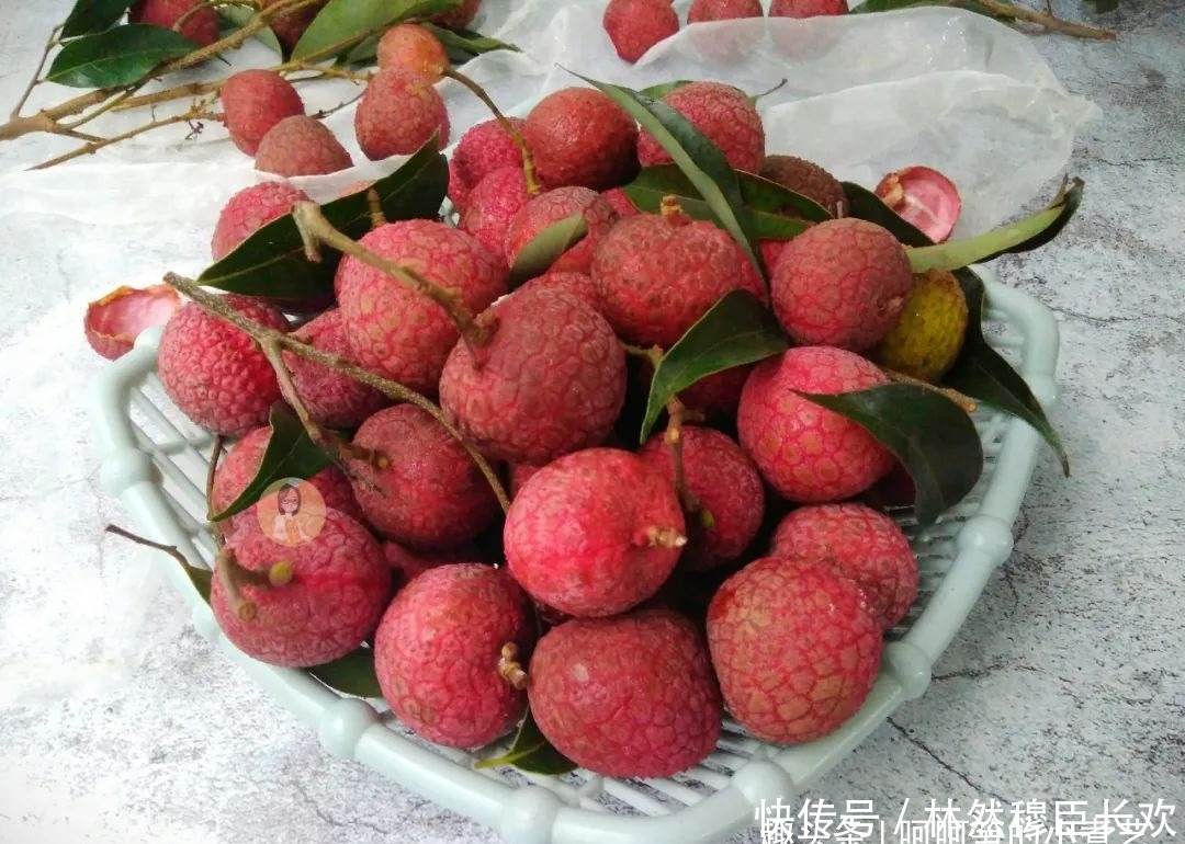 清热解暑|三伏天将至,一杯荔枝桂花酿,清热解暑、满口芳香,当早餐也不错