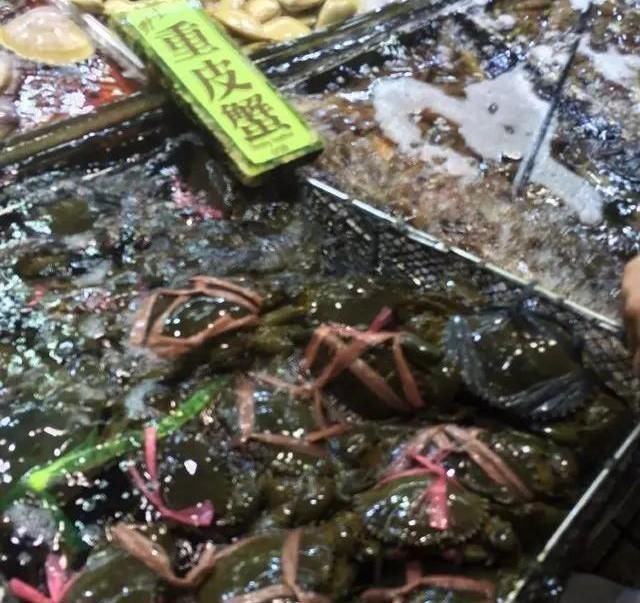 海鲜|世界上65种珍奇海鲜,贝爷都不敢说全部吃过,你吃过几种