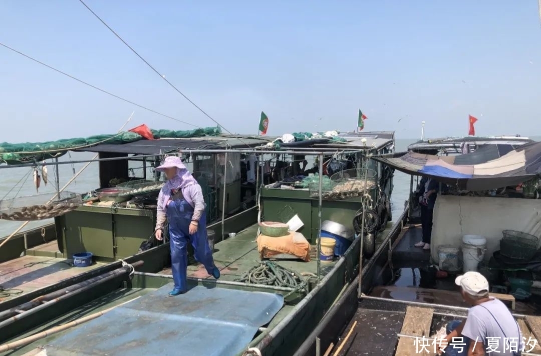 保护区|太湖捕鱼!这6个人被采取刑事强制措施!