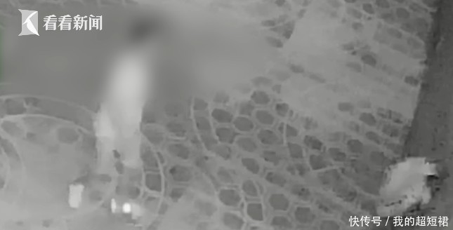 电影|扔酒瓶吐口水！醉酒男子不满电影情节大闹影院