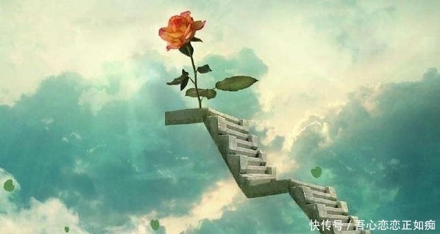 人生|人生的意义,生活的阳光在哪里