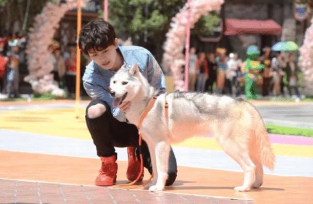  综艺节目|原来这些明星都参加过《跑男》，但却全程被冷落，如今红到高攀不起