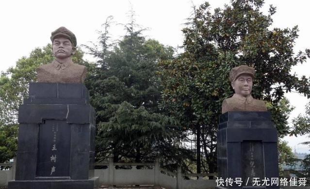  王树声大将|“开国大将”儿子婚前被撞，他只对肇事司机说了一句话，让人敬佩