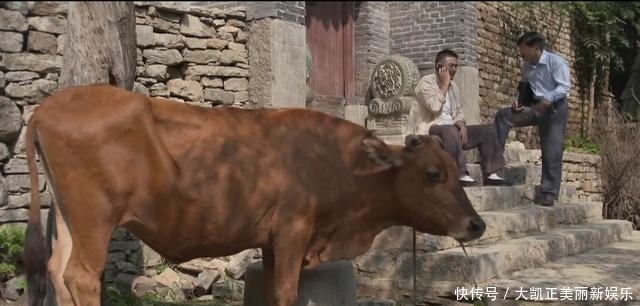  戏理|戏理乡村：村民朋友，你了解过你们村的第一书记吗？