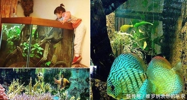  王宇恒|“鬼眼”王宇恒，不仅自己生活很励志，教育女儿也很有一手