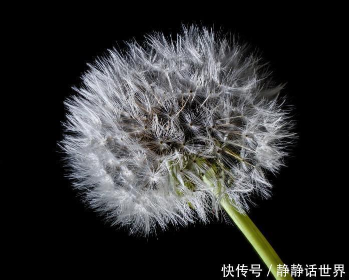 运势|7号8号9号运势一飞冲天,财富说爆发就爆发,大富特富的三生肖