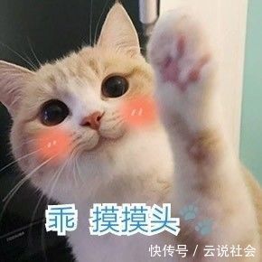 理科|别让理科男养猫,你永远不知道他会拿你的猫去计算些什么东西