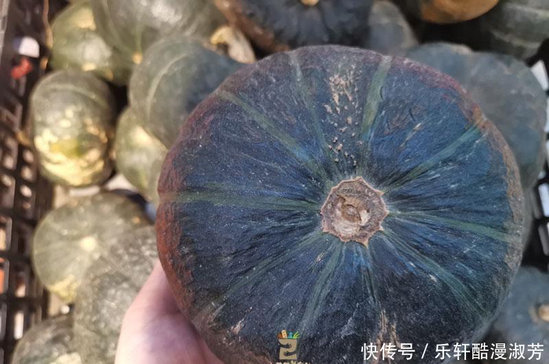 南瓜|立秋吃南瓜,老农教你专门挑“老”南瓜,又甜又糯,怎么做都好吃