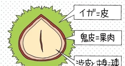 好吃|日本人的秋天限定美食,怎样最好吃?