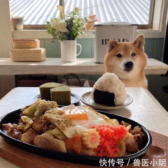 吃饭|女子每次吃饭，餐桌旁总会“长”出一颗狗头：再看就把你吃掉