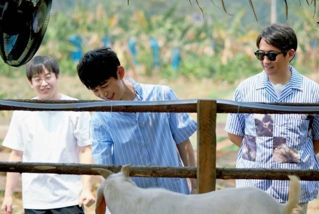  向往|《向往4》正式开播,周迅全程素颜出镜,何炅节目现场飙