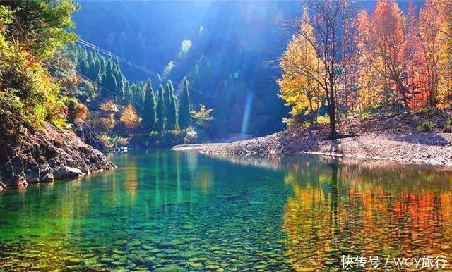 森林|高温席卷的初夏,不如去这些堪比童话仙境的小众森林里乘个凉!