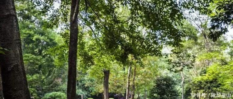 帝王陵|明朝只有十六位皇帝,为何却有十九座帝陵!