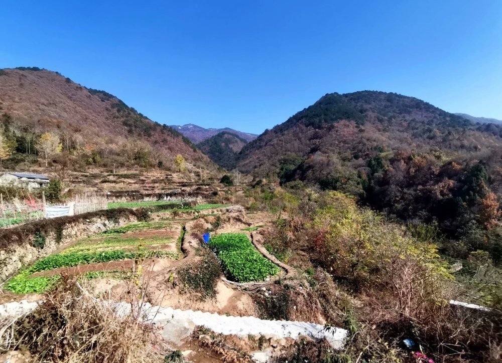 第一村|武汉抗战第一村——黄陂区姚家山村