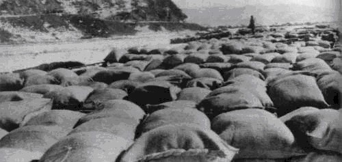伙食|志愿军的伙食只有炒面就雪吗 其实不光有饼干油条 还有饺子啤酒