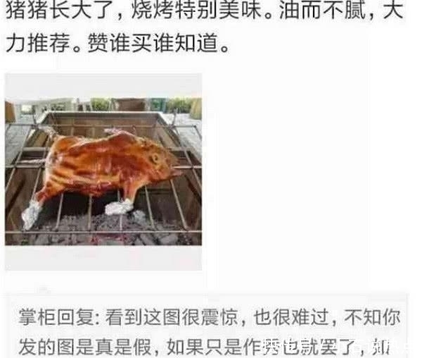  卖家|男子网购宠物小香猪烤了吃肉，还将照片发给卖家，卖家的回复亮了