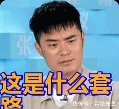  女婿|沪一女财务3年骗了老板近800万！女儿女婿不见踪影...