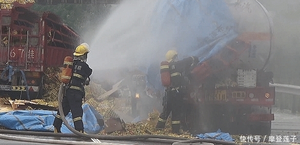  发生|高速公路两大货车相撞，30万个鸡蛋碎一地，货车司机损失惨重