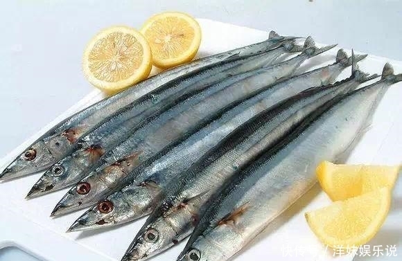 海鲜|海鲜大全, 你能认出多少