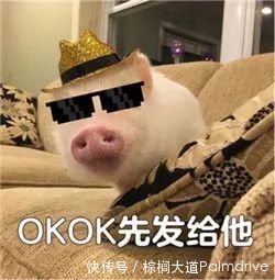 中国|最受中国留学生欢迎大学专业盘点!到底看“钱景”还是看兴趣?