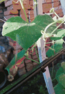 脖子|搞笑GIF:你的脖子还好吗