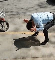 好奇|搞笑GIF动图:姑娘我很好奇, 那个尾巴是怎么出来的?