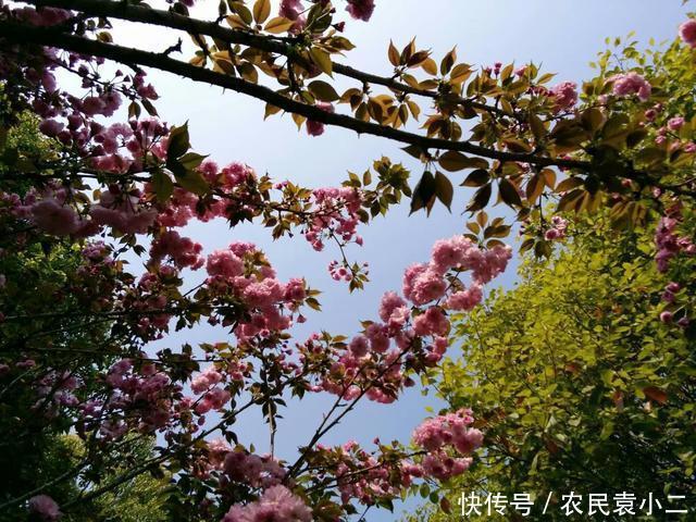 身体状况|为什么很多农村老人都说：穷人无病就是福？