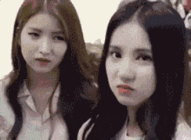 演技|搞笑GIF：人生如戏全靠演技，但是也太假了