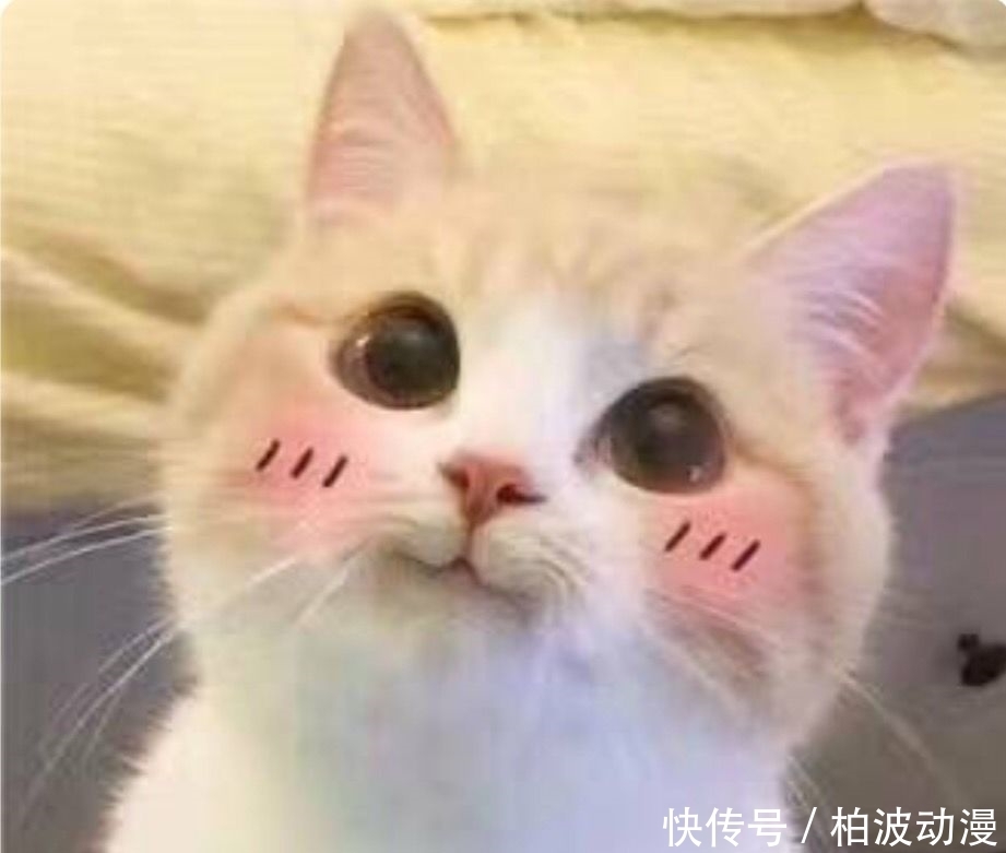 中奖|「奖品已就位」你中奖啦!快进来看看吧!