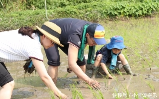 郭晶晶|嫁豪门吃路边摊，婆婆不喜欢她生小孩？郭晶晶怎么越过越穷？