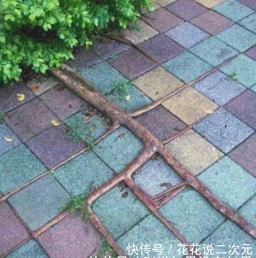 男友|开心一刻笑话:去男友家吃饭,男友妈妈做了好多菜