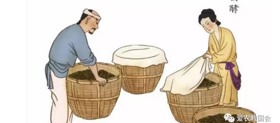 交流|乌龙红茶工艺交流