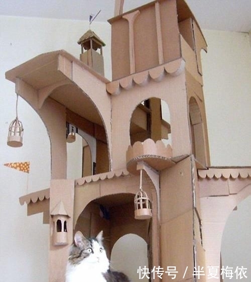 豪华|有才!外国网友用废纸箱,给喵星人打造豪华城堡