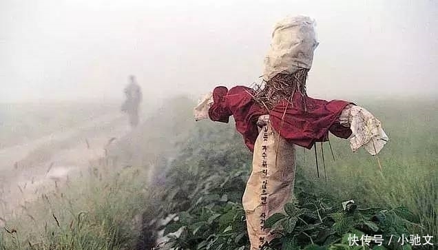 剧本|都怪导演，同一个剧本，韩国拍就是影史票房第一，我们拍就是烂片