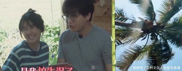  向往|《向往的生活》张子枫蜂蜜拍摄技术由吐槽制作，网友却称其可爱