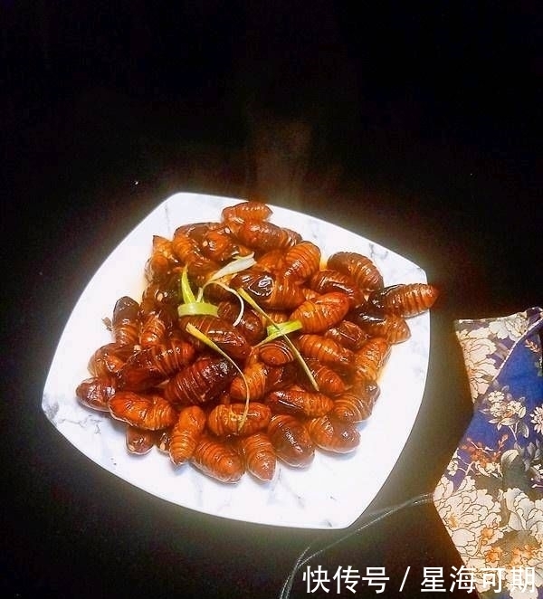 敢不敢|炒蚕蛹，不知道你敢不敢吃