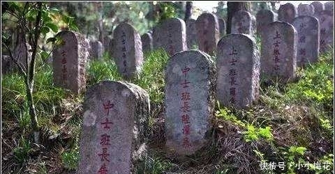 唯一|4万人进野人山出来才1万,唯一存活女兵:里面东西比日军更恐怖