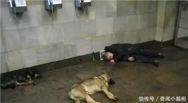 照片|为什么俄罗斯被称为战斗民族?看完这组地铁照片后,任何人都想拍下来