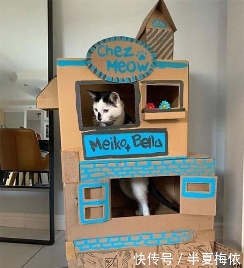豪华|有才!外国网友用废纸箱,给喵星人打造豪华城堡