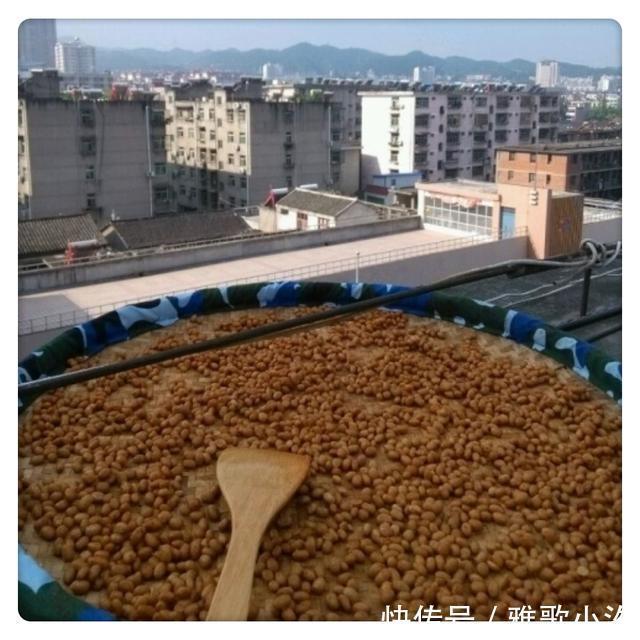 南方人|东北大娘囤300斤大白菜,南方人却喜欢囤这些!