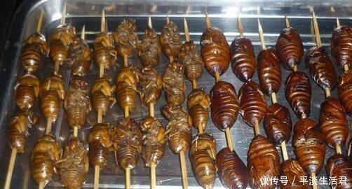 告别|告别羊肉串,拒绝小龙虾,农林里的害虫,如今成了夜市上的高端菜