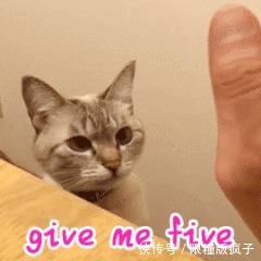  素人|《中国好声音》盲选谢霆锋没人选，素人选手也不稀罕他的资源