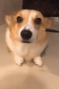 搞笑|搞笑GIF：这武功失传了吧