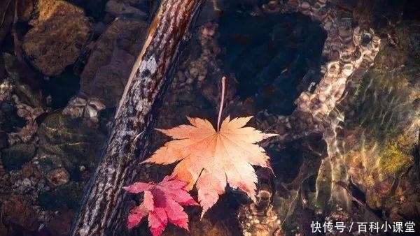 地方|国庆、中秋8天长假去哪儿?这9个地方秋光乍泄美到勾魂