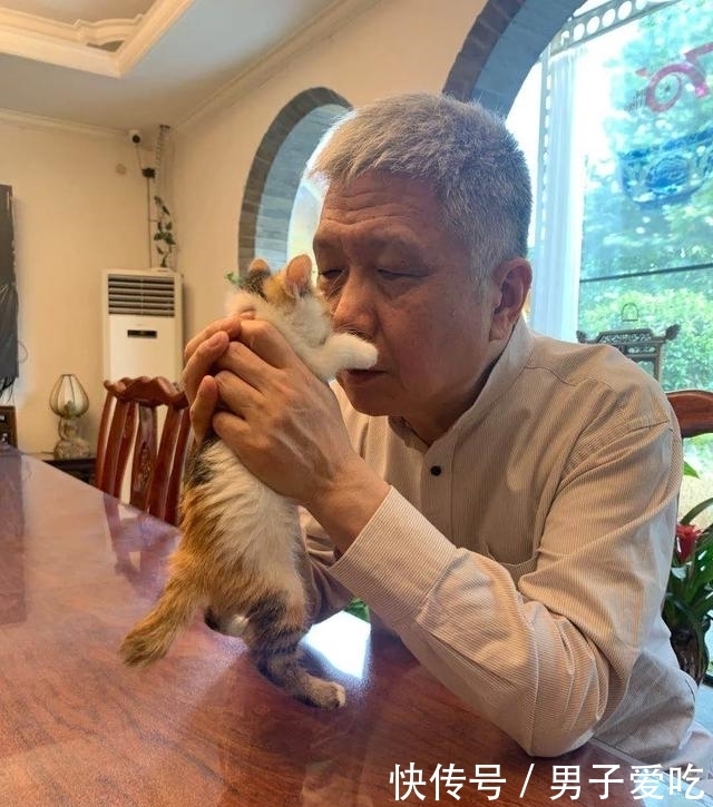  前来|观复猫天团上新，米麒麟前来报道啦