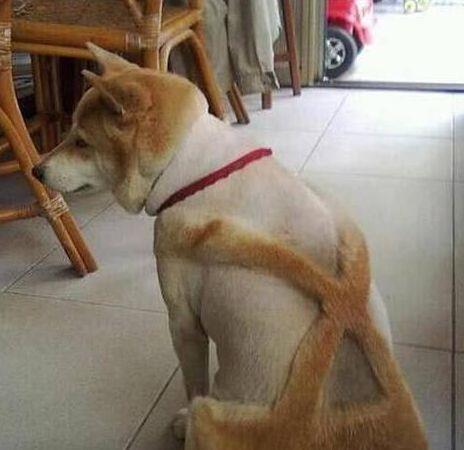 河边|爆笑段子:小时候,一次下雨后去放牛。来到河边时路有点滑